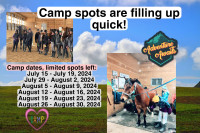 Summer Horse Riding Day Camps