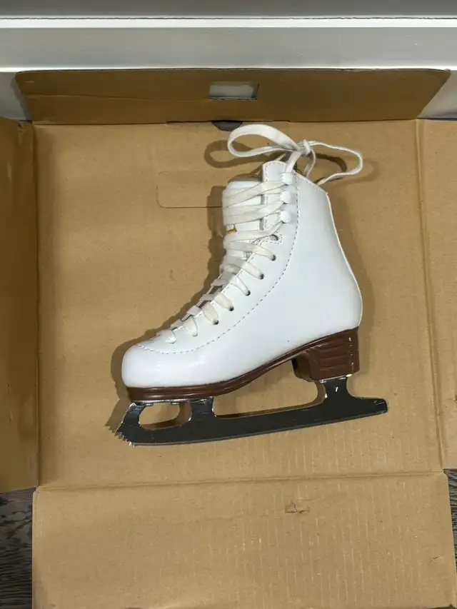 Jackson Skating Shoes, in excellent condition