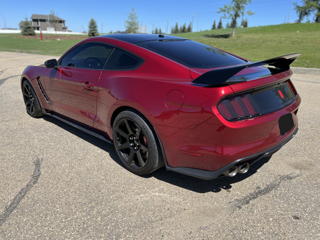 2018 Ford Mustang Shelby GT350R in Cars & Trucks in Calgary - Image 2