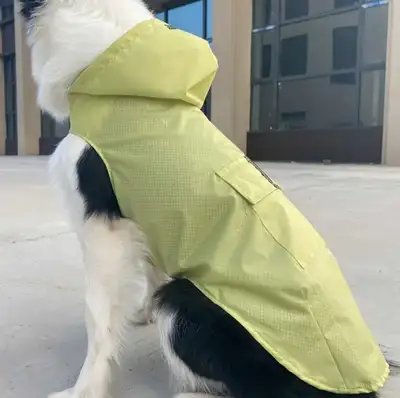 Brand new. Check out my other ads. Keep your furry friend dry and stylish with this vibrant orange d...