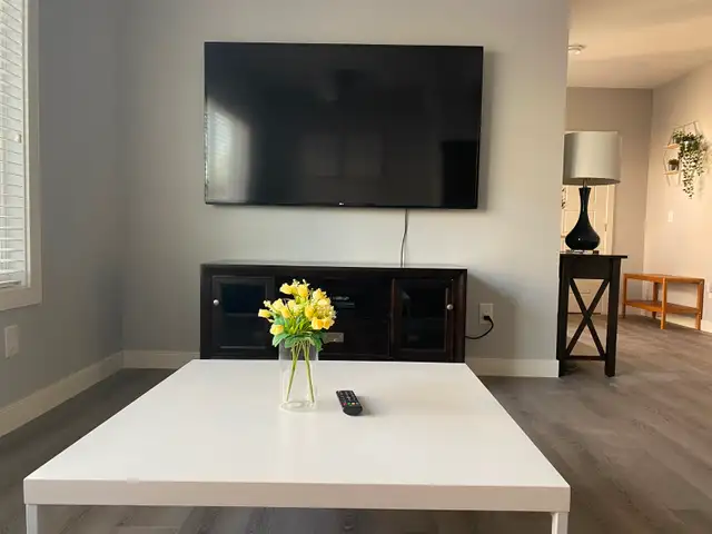 BRIGHT AND MODERN - LEGAL WALKOUT SUITE, FURNISHED - EVANSTON NW