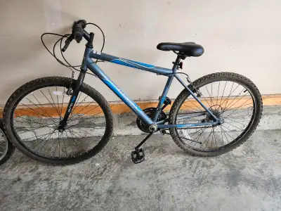 Mountain bike for sale, both brakes work. contact for more info. Cash and E-transfer only
