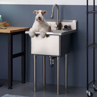 Stainless Steel Utility Sink with Pull-out Faucet