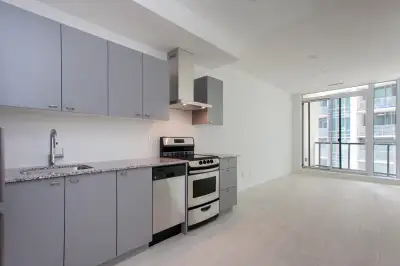 51 East Liberty Street fully renovated suite for lease