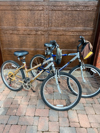 Couples Schwinn Lightweight Bicycles