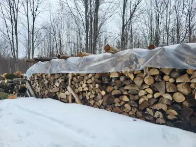 Quality mixed hardwood firewood (mostly red maple, some ash and elm), 1 year seasoned under cover. S...