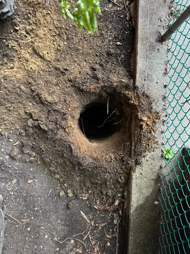Post Hole Digging Service 564265650729134082