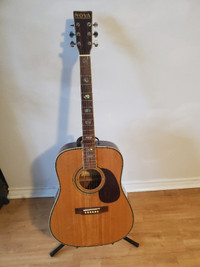 Acoustic Guitar Beginner, stand, hard cover case $160