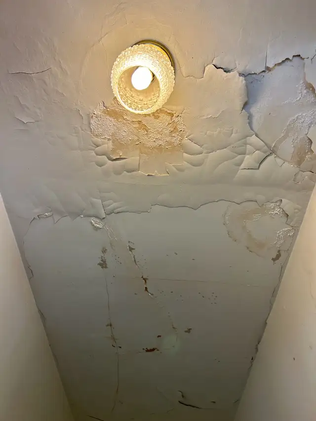 drywall/ plaster : hole/repair/replace555207690353397762