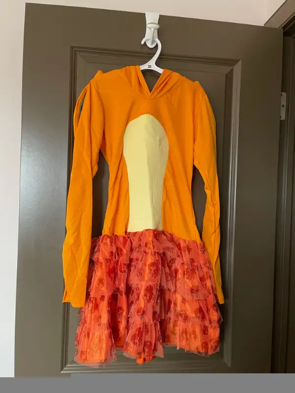 Girls Halloween Pokemon Charizard Costume Size Large 12-14 in Costumes in Medicine Hat - Image 6