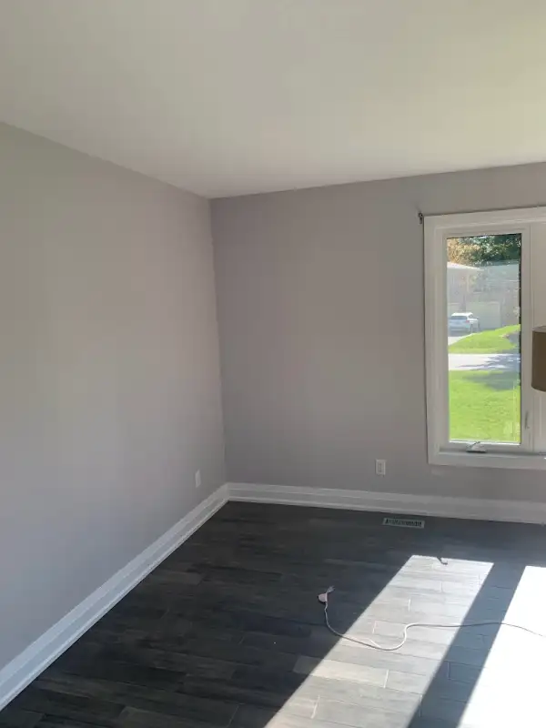 Painting and Decorating, Gardening Services 613 600 702562863711053569122