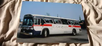 8x12 PHOTO SAULT ST MARIE GM NEW LOOK BUS UNIQUE PICTURE, View more