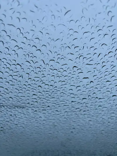 Looking for a 1-2 bedroom rental Anywheres between Charlottetown/stratford to Montague Pet friendly...