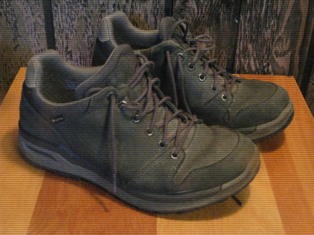 Chaussures LOWA GORETEX grandeur 8.5 US dans Chaussures pour hommes  à Trois-Rivières