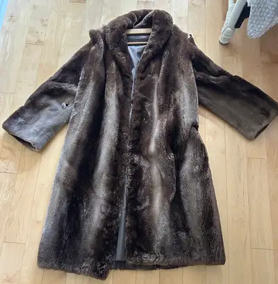 Beaver Coat, View more