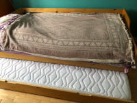 Twin daybed with trundle 