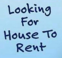Looking for long term house rental: August/September