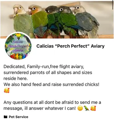 CALICIAS “PERCH PERFECT” AVIARY, View more