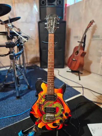 Vince Neil Washburn guitar, View more