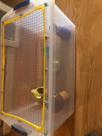 Bine cage hamster 