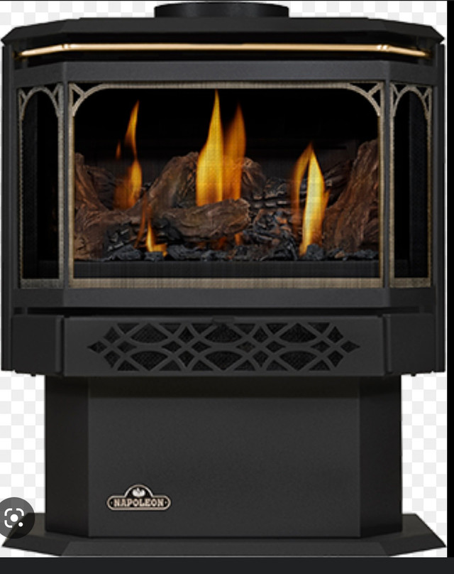Gas or Propane Fireplace Service  in Stoves, Ovens & Ranges in Trenton - Image 2