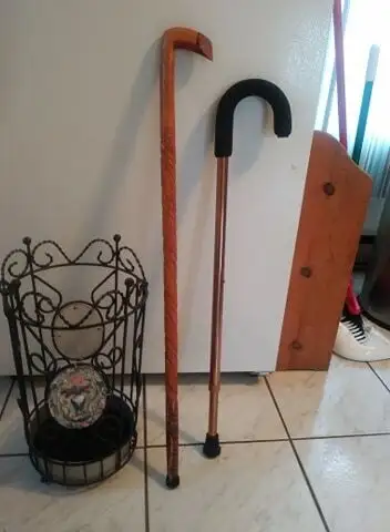 PORTE PARAPLUIE OU CANE  15$ CANES 15$ CH. TEL 819 536-5362, View more