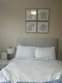 Bed Frame and/or Mattress for Sale