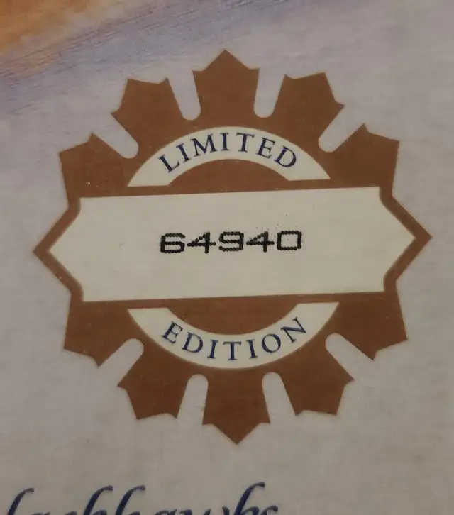 Maple Leaf Gardens Final Game Program64840209836931121