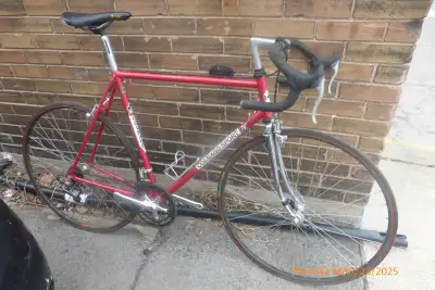 Colnago Sport Road Bike Vintage --12 speed quick release wheels-, View more