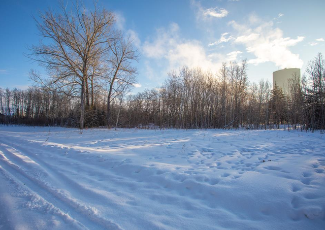 Fully serviced lot 4 in Alix – Ready for your dream home!