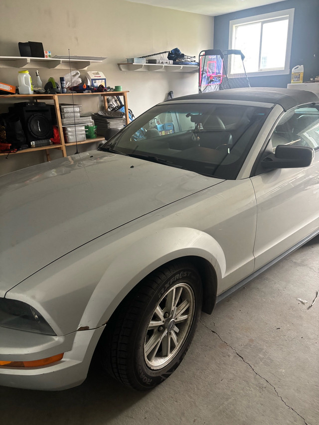 mustang convertible  in Cars & Trucks in Edmonton - Image 4