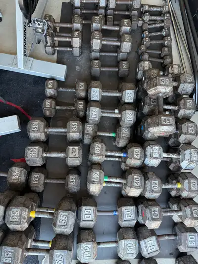 dumbbells $1 per pound (5-60lbs), spin bikes, View more