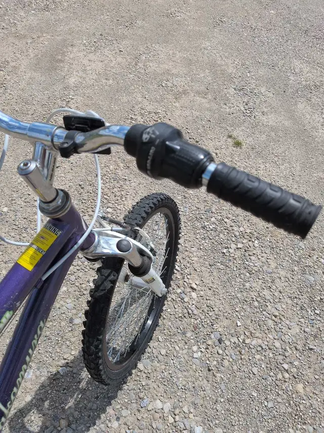Nakamura Meyou 20-inch Bicycle in Kids in Owen Sound - Image 5
