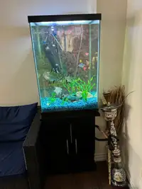 Stunning 50-Gallon Aquarium with Stand - Complete Setup!