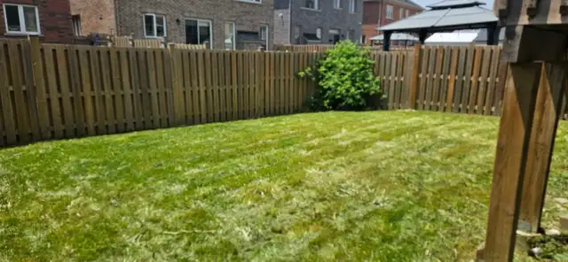 Lawn Mowing Service (Residential & Commercial) in Lawn, Tree Maintenance & Eavestrough in Mississauga / Peel Region - Image 4