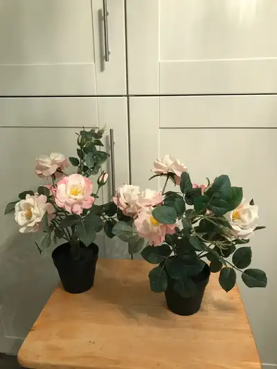 IKEA FEJKA artificial pink rose plants potted, View more