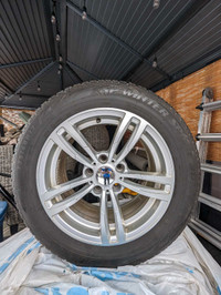 Dunlop winter tires with rims 