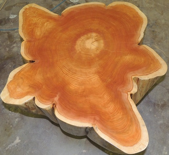 Tree Table in Coffee Tables in Cranbrook - Image 3