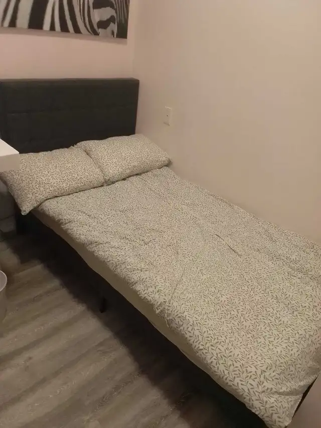 desperate for help pls 