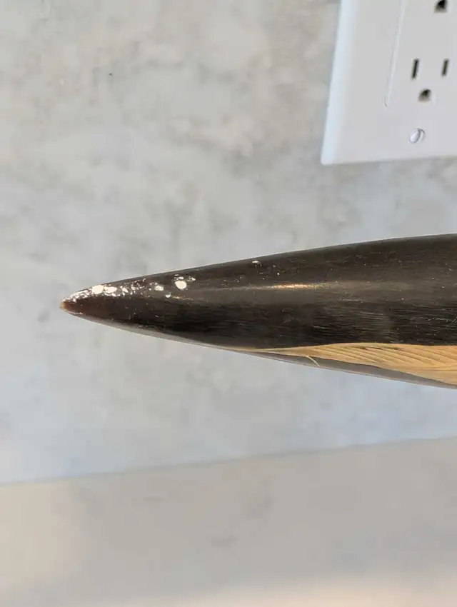 Pair of Mounted Carved Water Buffalo Horns with Dragons and Phoe in Arts & Collectibles in Markham / York Region - Image 10