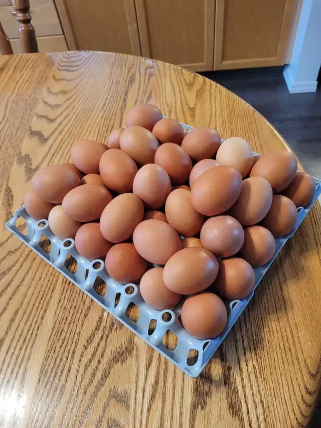 Farm Fresh Eggs