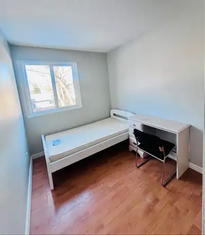 Single Room for Rent