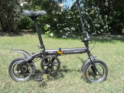 Wanqida folding mini bike Single speed. New chain good tires Kickstand. All tuned up and ready to ri...