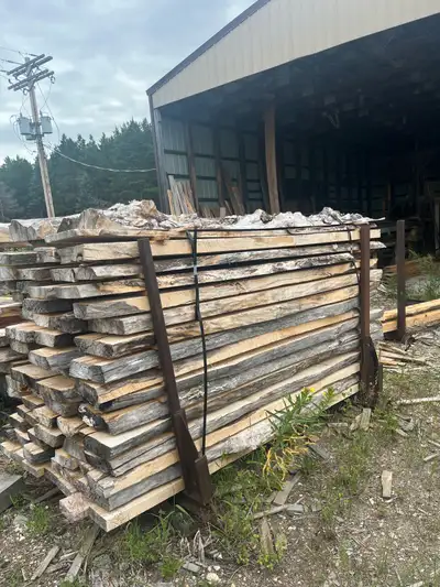 2 inch Live Edge Manitoba Maple, View more