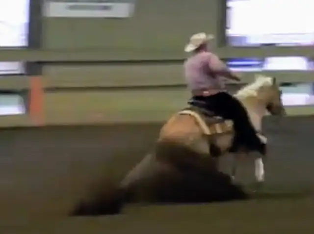 12yr old registered Quarter Horse Palomino Reining gelding in Horses & Ponies for Rehoming in London - Image 3