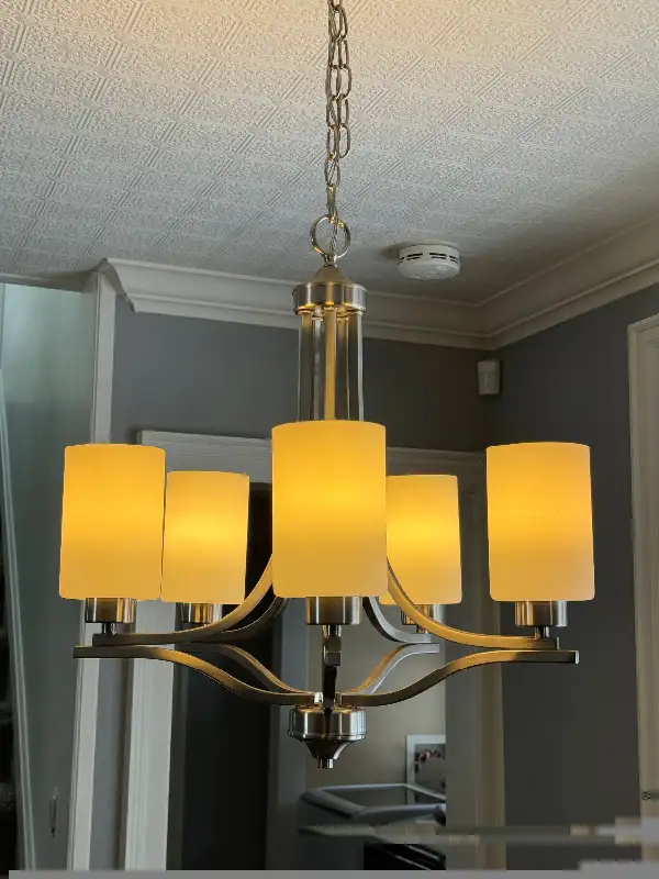Dinning Chandelier Lighting Fixture 5 LED Dimming Bulbs brushed in Indoor Lighting & Fans in Barrie - Image 10