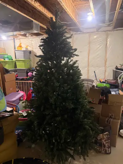 Christmas tree, View more