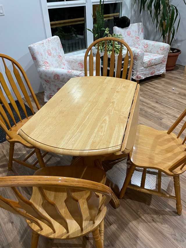 Table & 4 chairs in Dining Tables & Sets in Lethbridge - Image 2