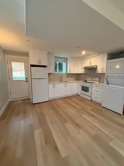 2 bedroom 1.5 bath basement Cloverdale/clayton area