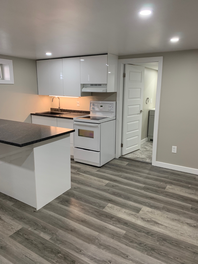 Basement One Bedroom Apartment